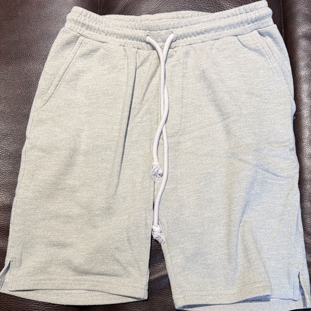 Light Gray Casual Shorts